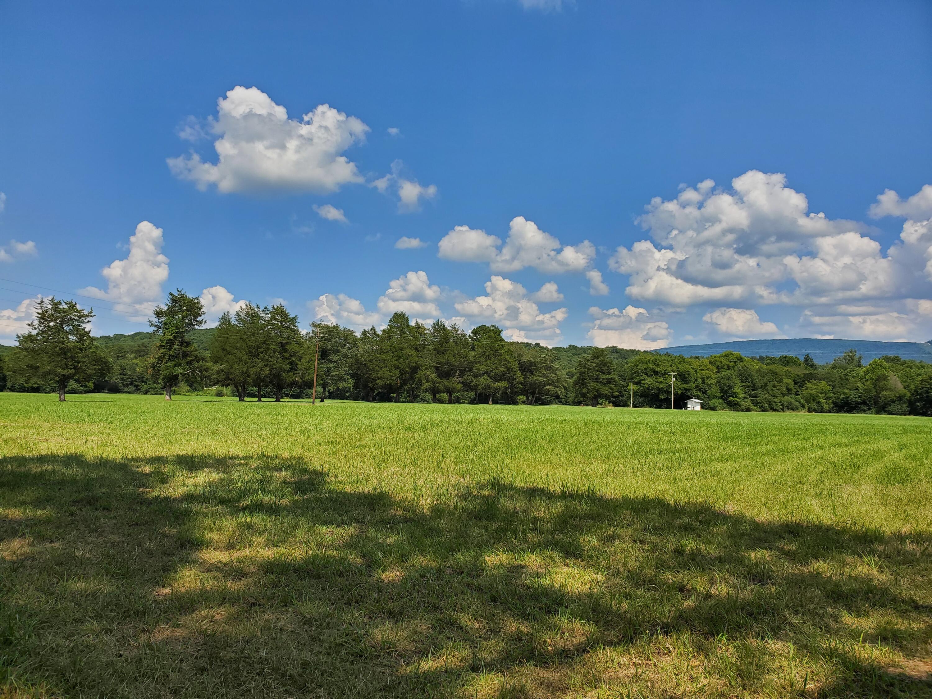 43 Stone Cave Lp, Dunlap, Tennessee image 34