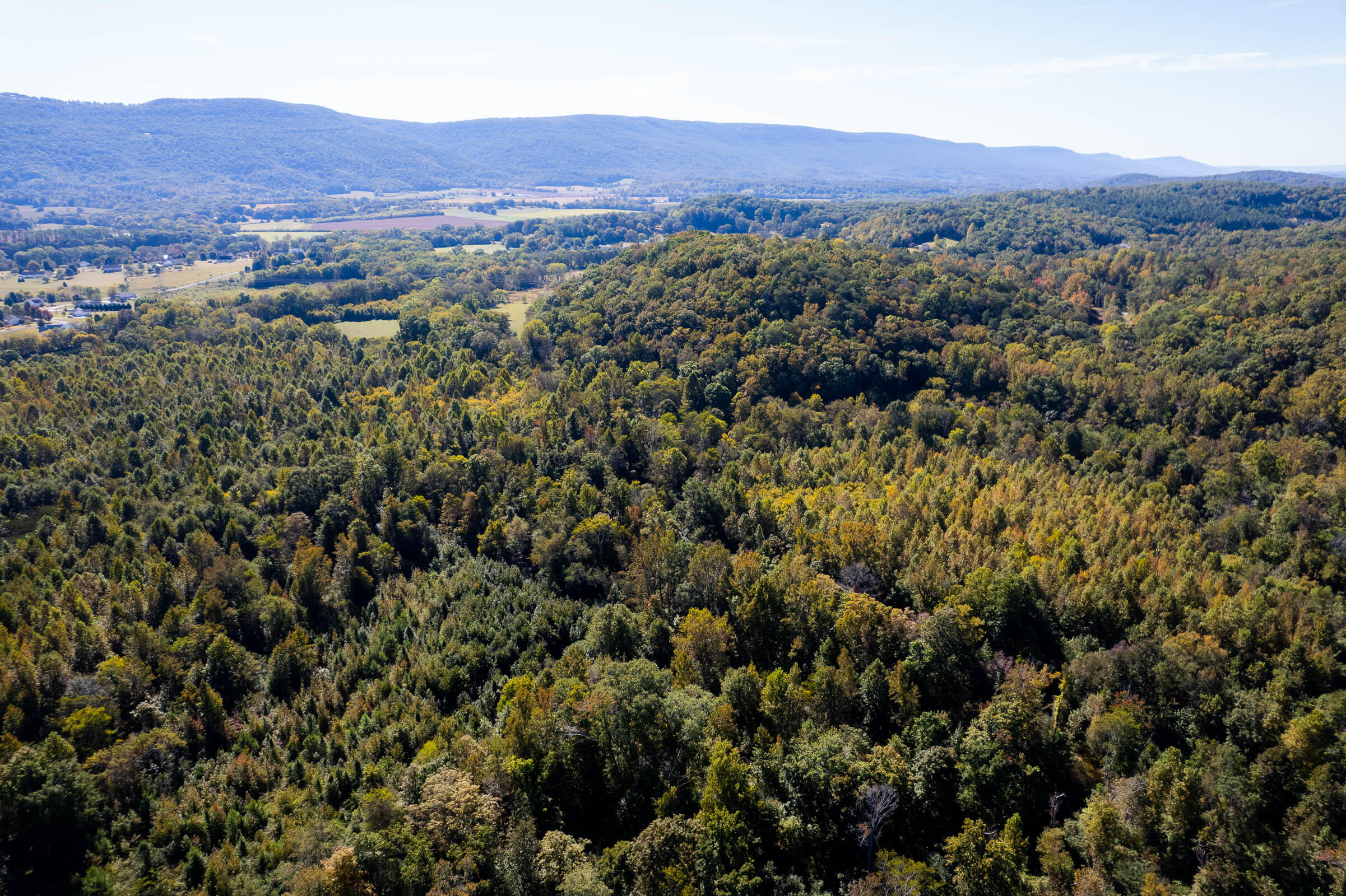 43 Stone Cave Lp, Dunlap, Tennessee image 10