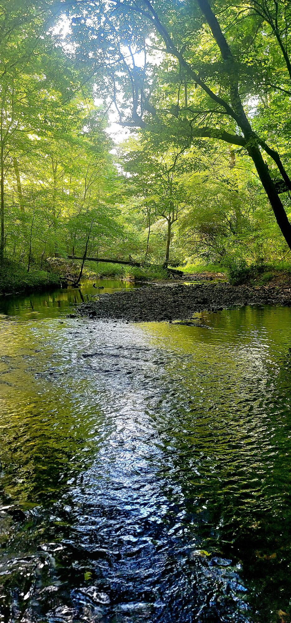 43 Stone Cave Lp, Dunlap, Tennessee image 50