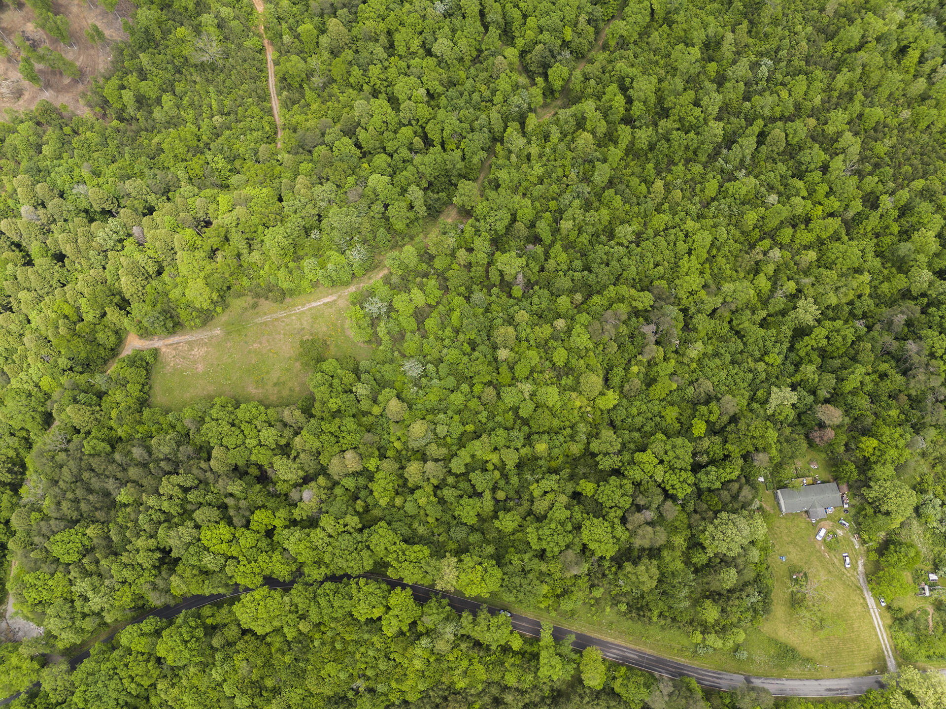 2361 Colony Road, Gruetli Laager, Tennessee image 4