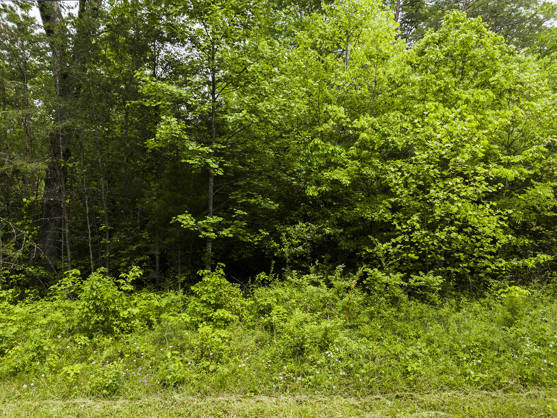 2361 Colony Road, Gruetli Laager, Tennessee image 5