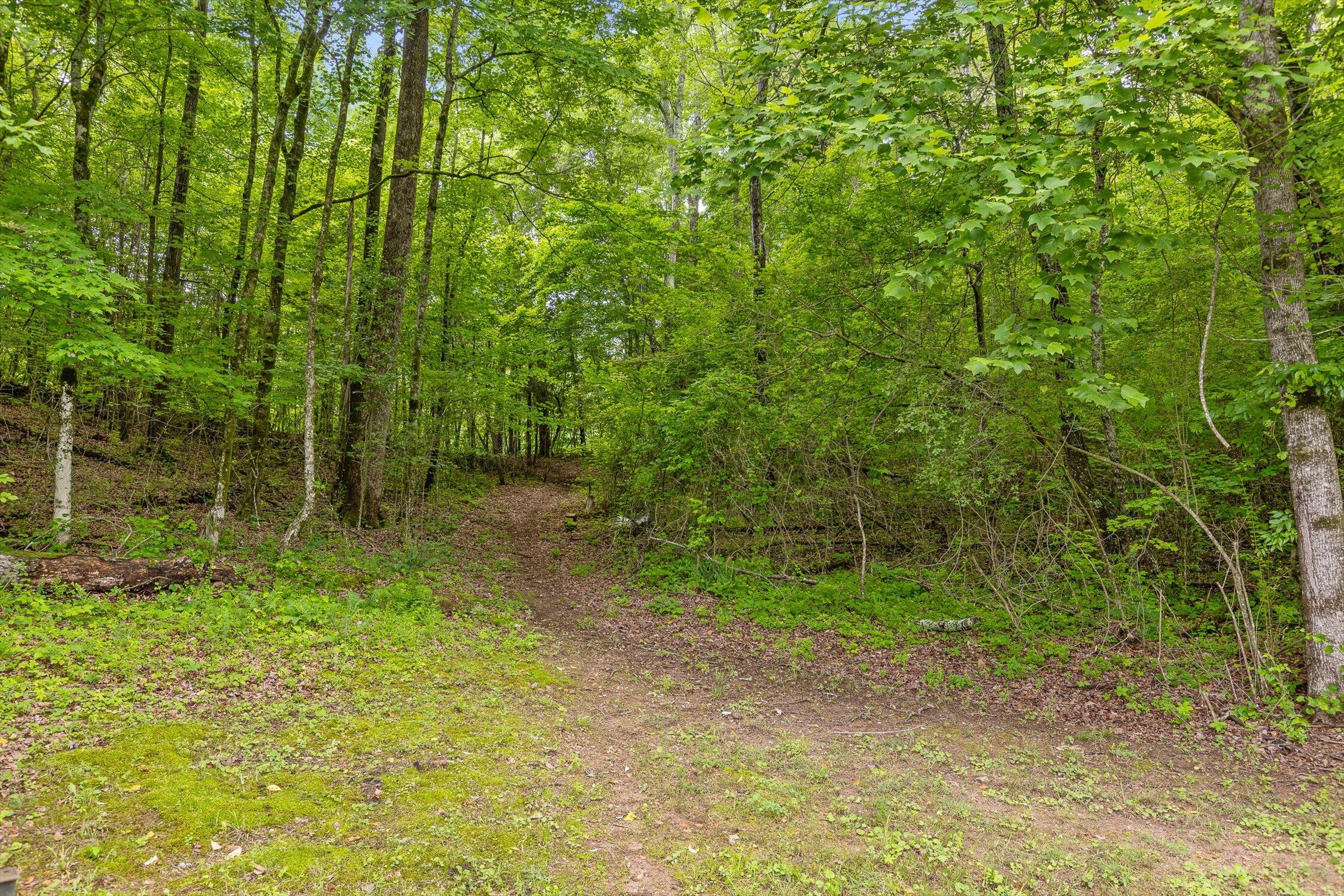 7315 Friendship Lane, Hixson, Tennessee image 11