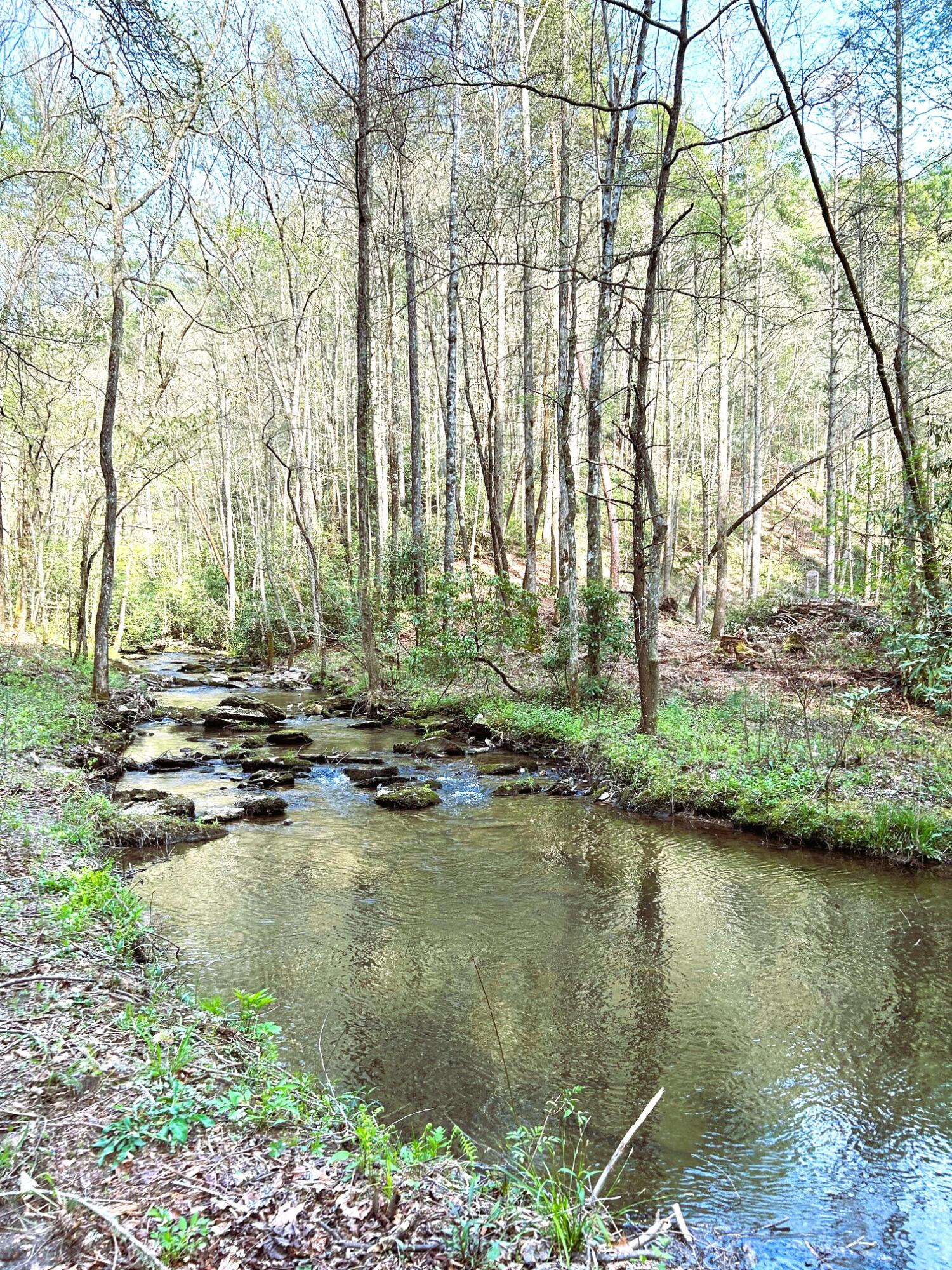 40 Acres Ivy Trail, Tellico Plains, Tennessee image 28