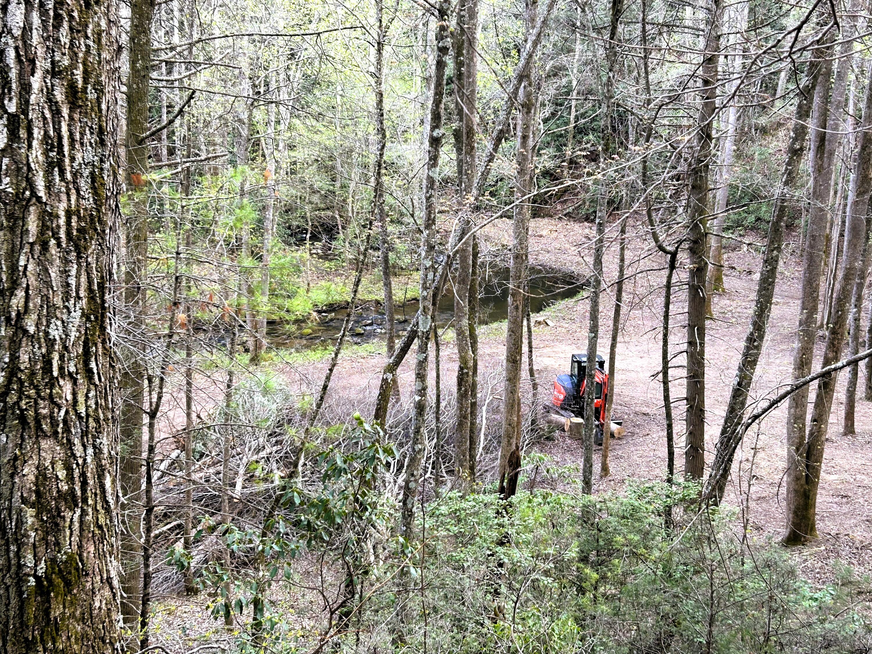 40 Acres Ivy Trail, Tellico Plains, Tennessee image 2