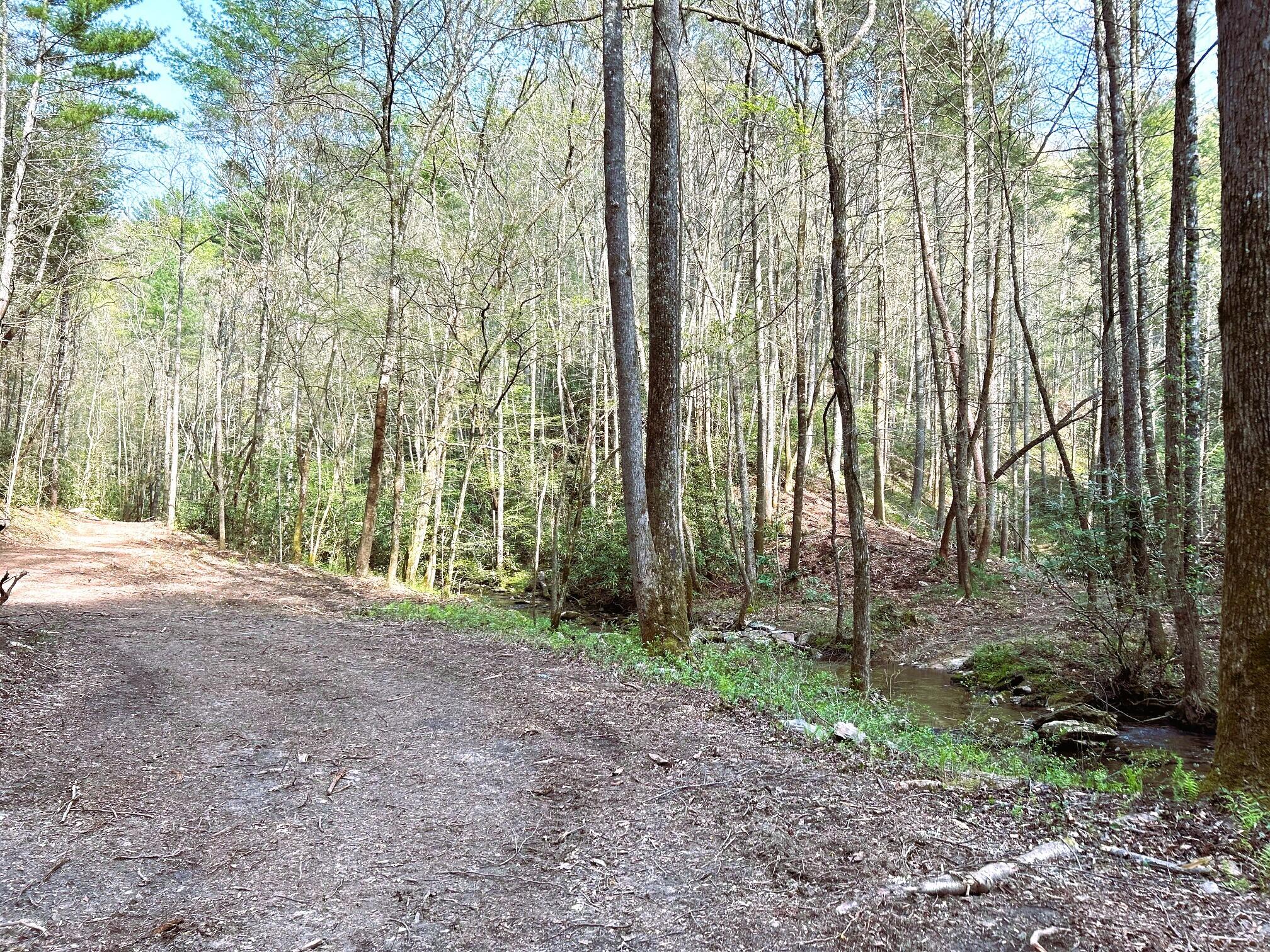 40 Acres Ivy Trail, Tellico Plains, Tennessee image 31