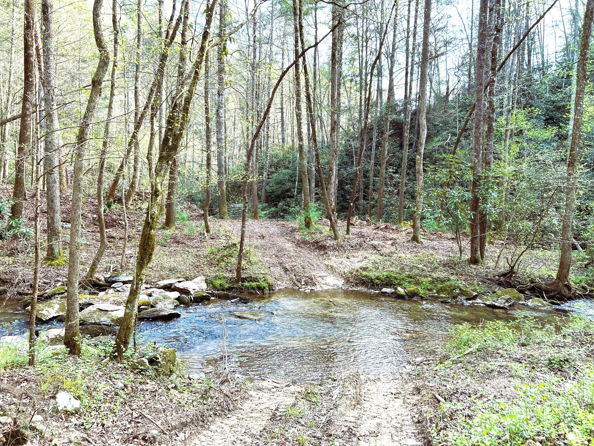 40 Acres Ivy Trail, Tellico Plains, Tennessee image 30