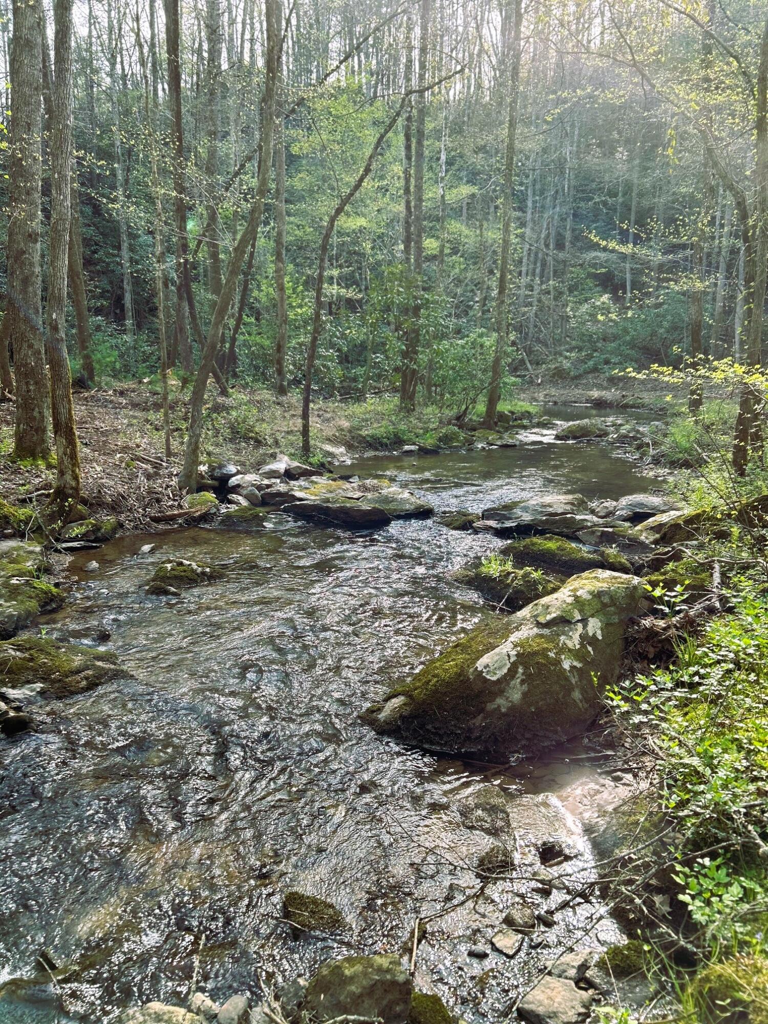 40 Acres Ivy Trail, Tellico Plains, Tennessee image 43