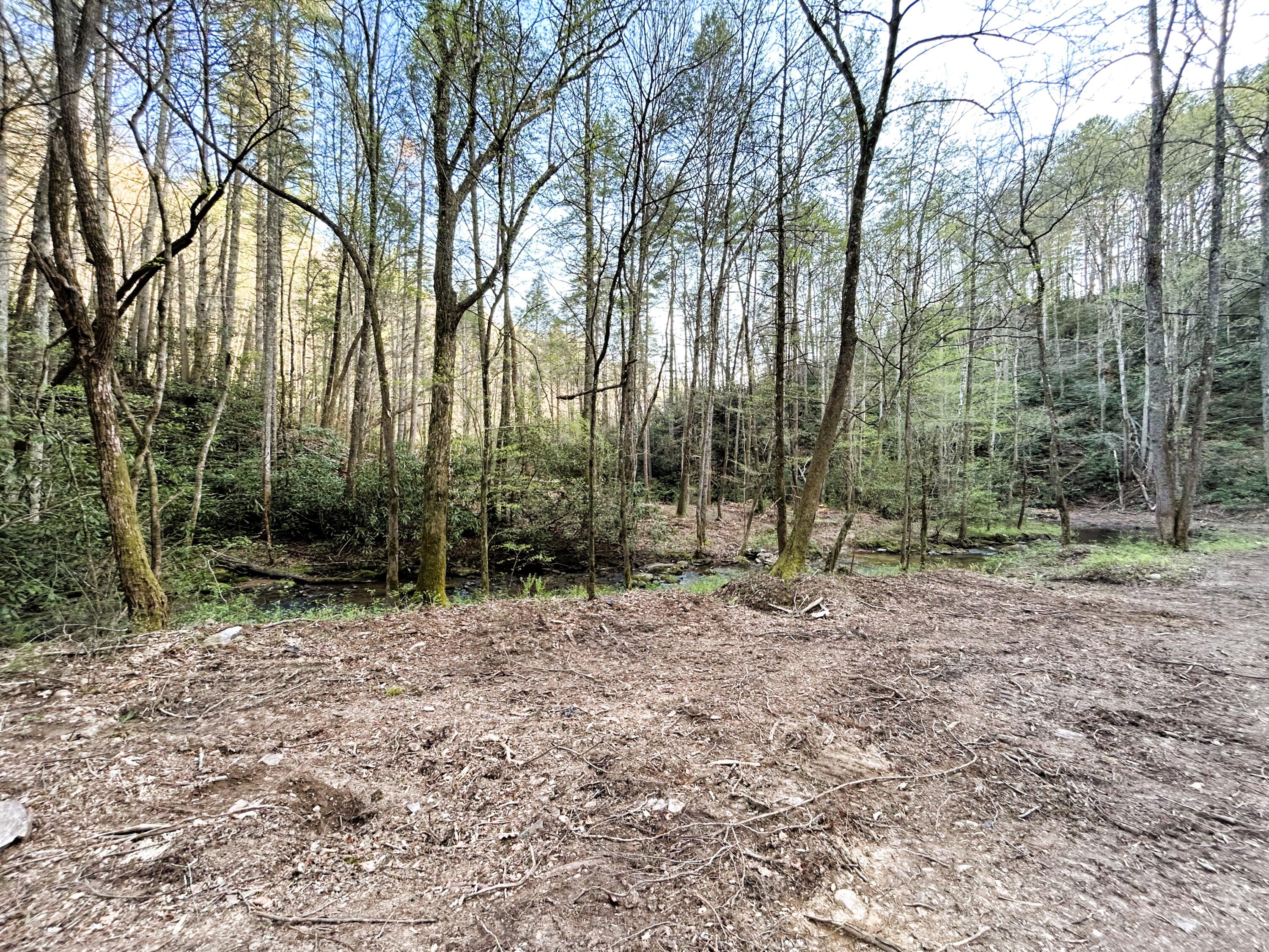 40 Acres Ivy Trail, Tellico Plains, Tennessee image 3