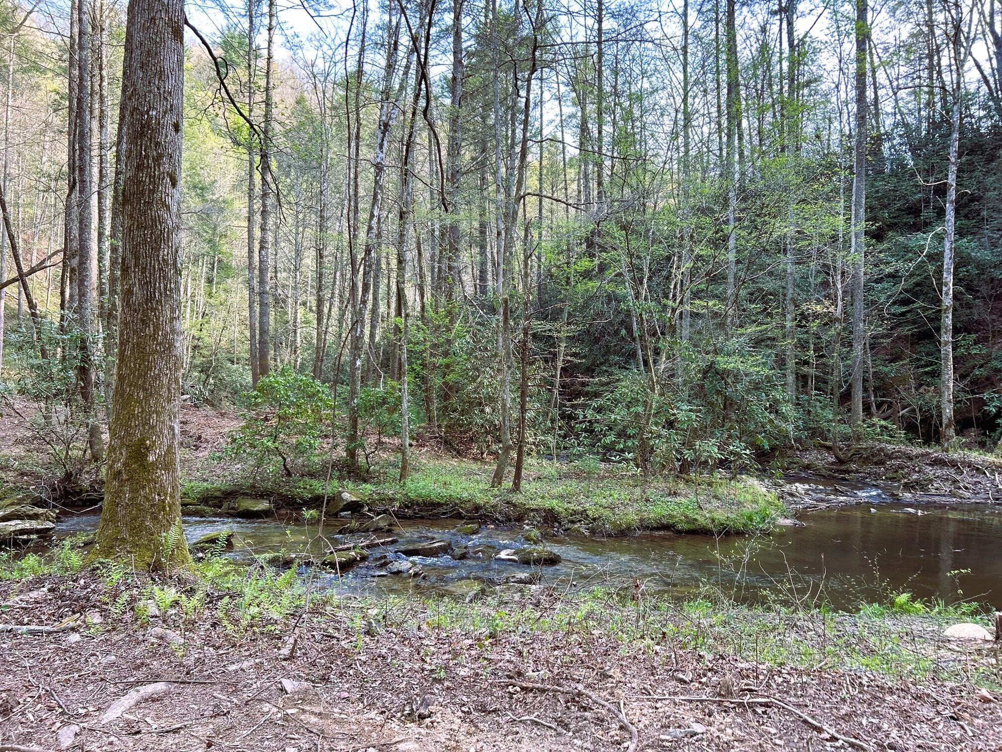 40 Acres Ivy Trail, Tellico Plains, Tennessee image 32