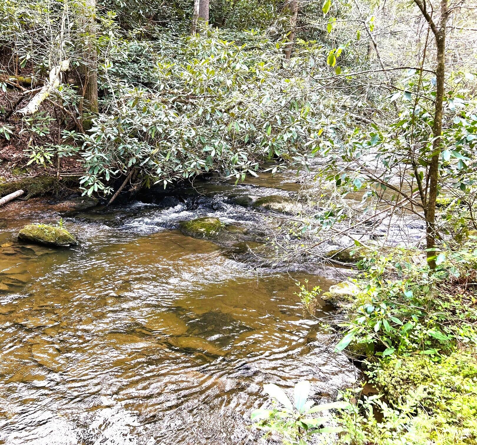 40 Acres Ivy Trail, Tellico Plains, Tennessee image 17