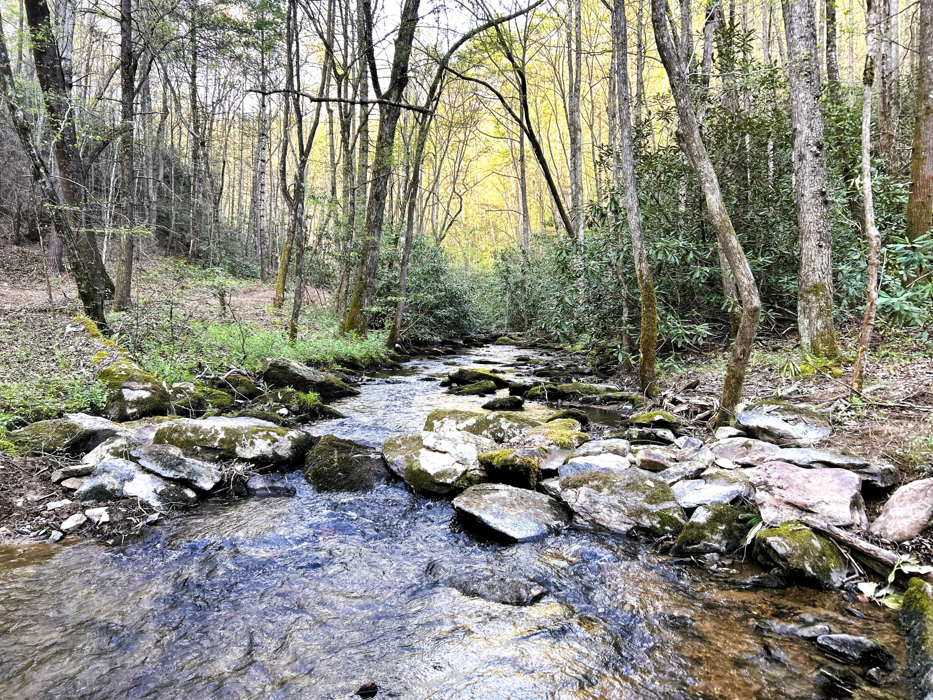 40 Acres Ivy Trail, Tellico Plains, Tennessee image 7