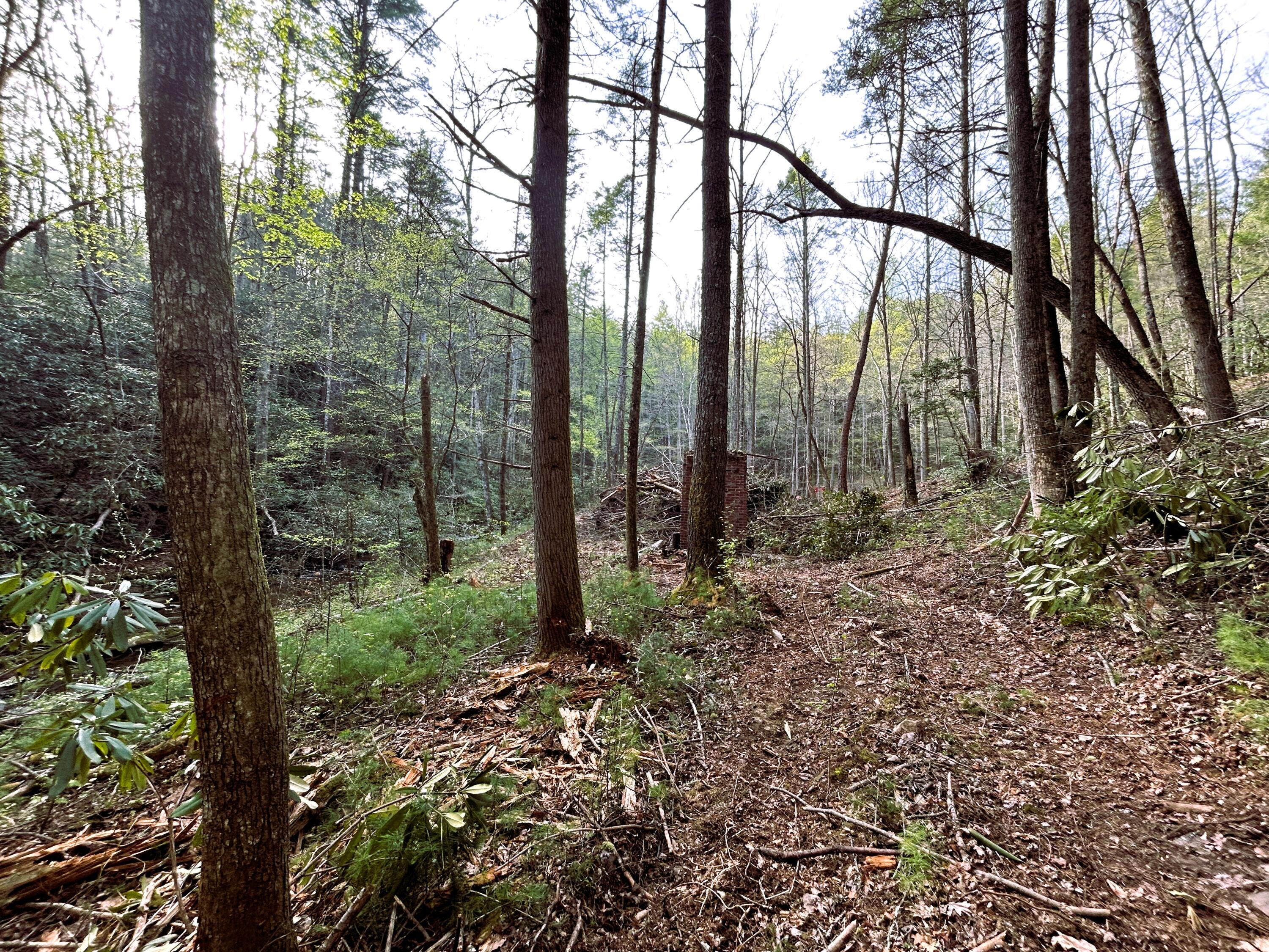 40 Acres Ivy Trail, Tellico Plains, Tennessee image 16