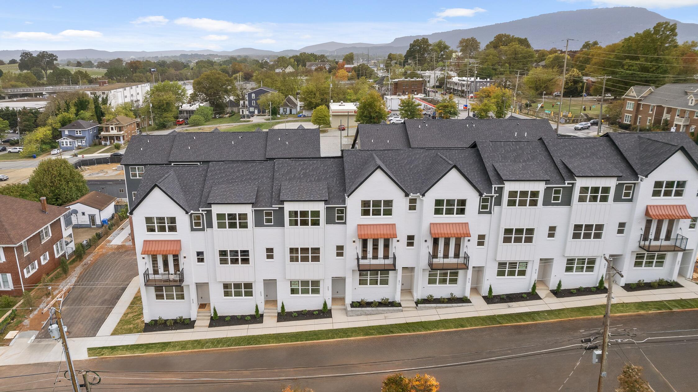703 Bespoke Way, Chattanooga, Tennessee image 1