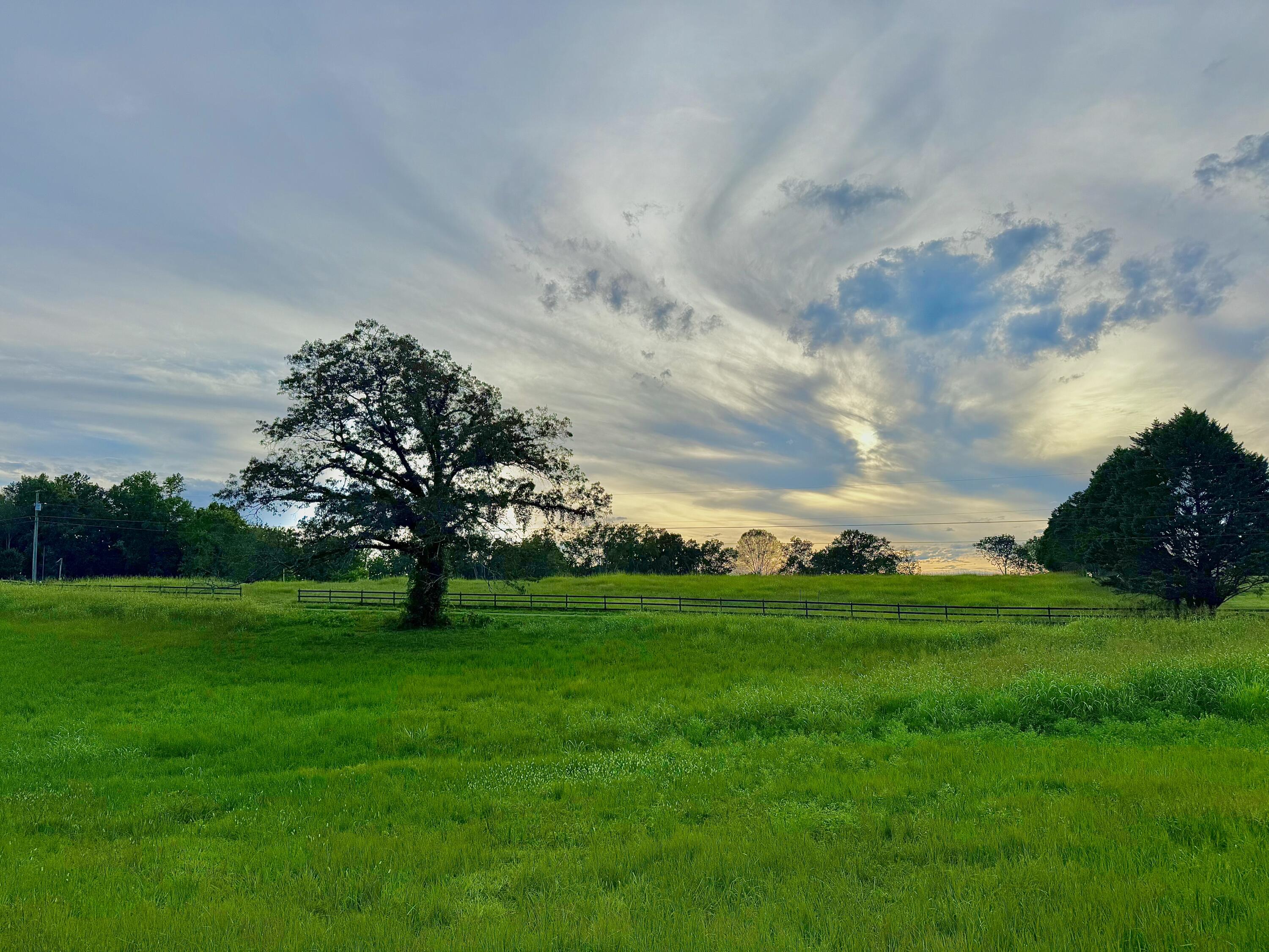 1276 Holly Glen Lane