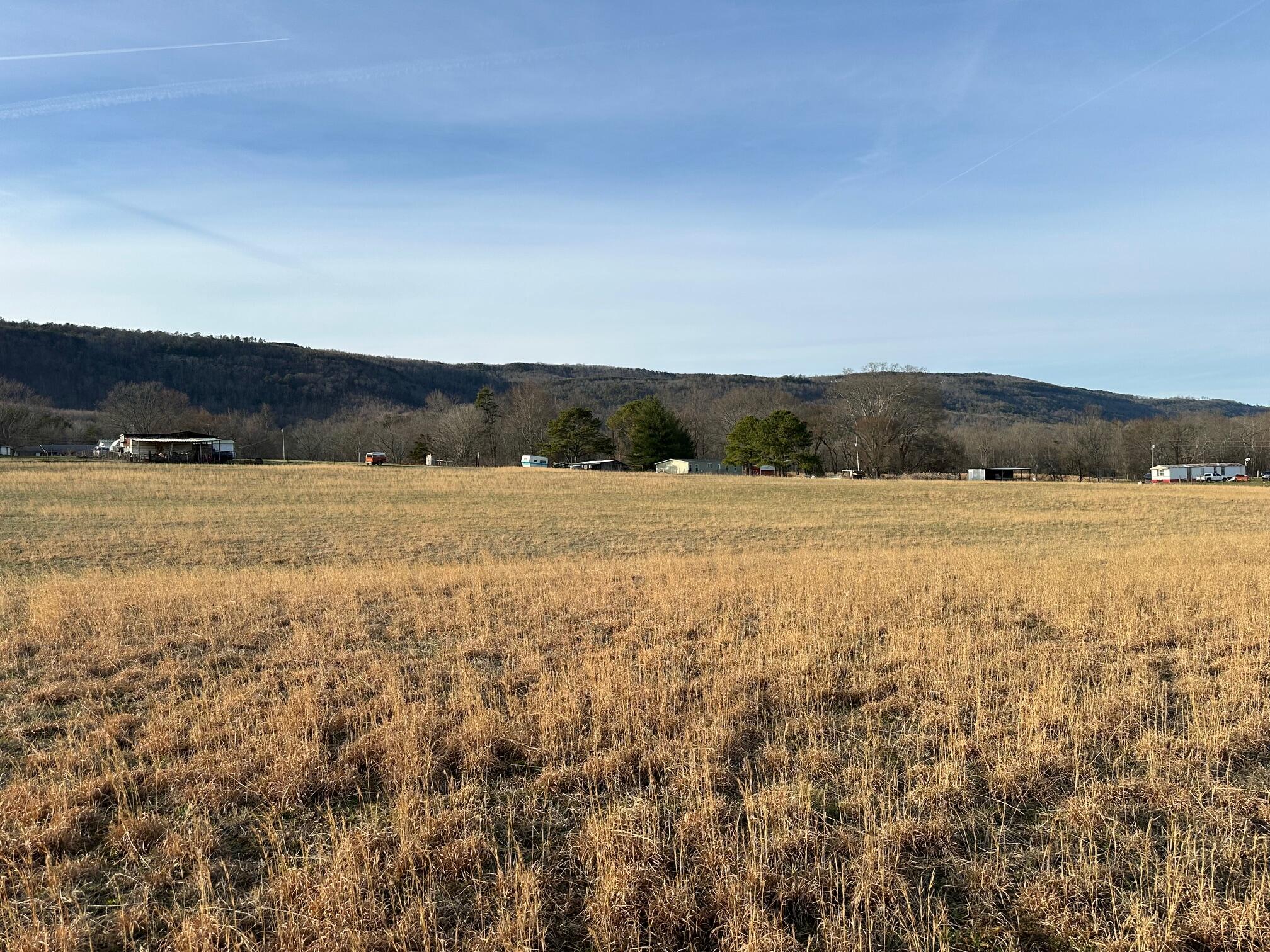 174 Hensley Wilson Lane, Evensville, Tennessee image 3