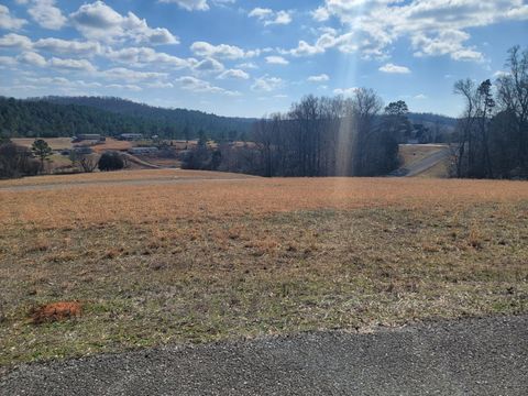 Photo of Lot 38 Goodfield Terrance, Decatur, TN 37322 (MLS # 1528996)
