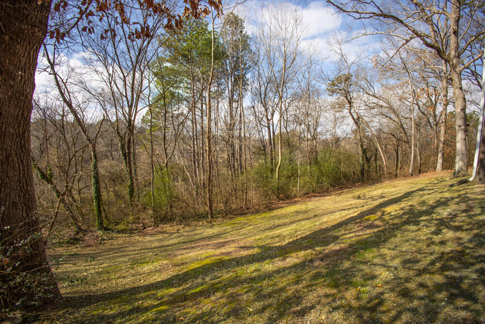 10 Dee View Lane, Rossville, Georgia image 26