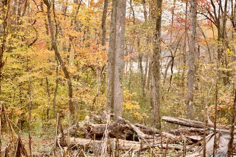 Tiny photo for 13768 Dell Drive, Soddy Daisy, TN 37379 (MLS # 1523742)