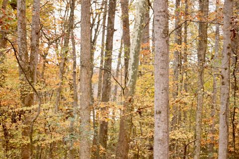 Tiny photo for 13768 Dell Drive, Soddy Daisy, TN 37379 (MLS # 1523742)