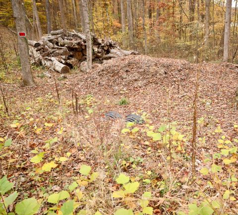 Tiny photo for 13768 Dell Drive, Soddy Daisy, TN 37379 (MLS # 1523742)