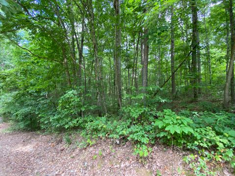 Tiny photo for 0 Fawn Circle, Dunlap, TN 37327 (MLS # 1526548)