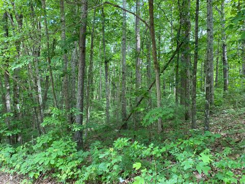Tiny photo for 0 Fawn Circle, Dunlap, TN 37327 (MLS # 1526548)