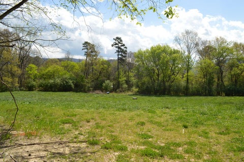 Vacant Land For Sale - O Needle Eye<br/> Delano, TN 37325