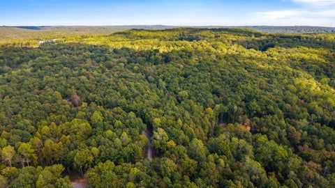 Photo of 0 Baggett Trail, Signal Mountain, TN 37377 (MLS # 1544835)