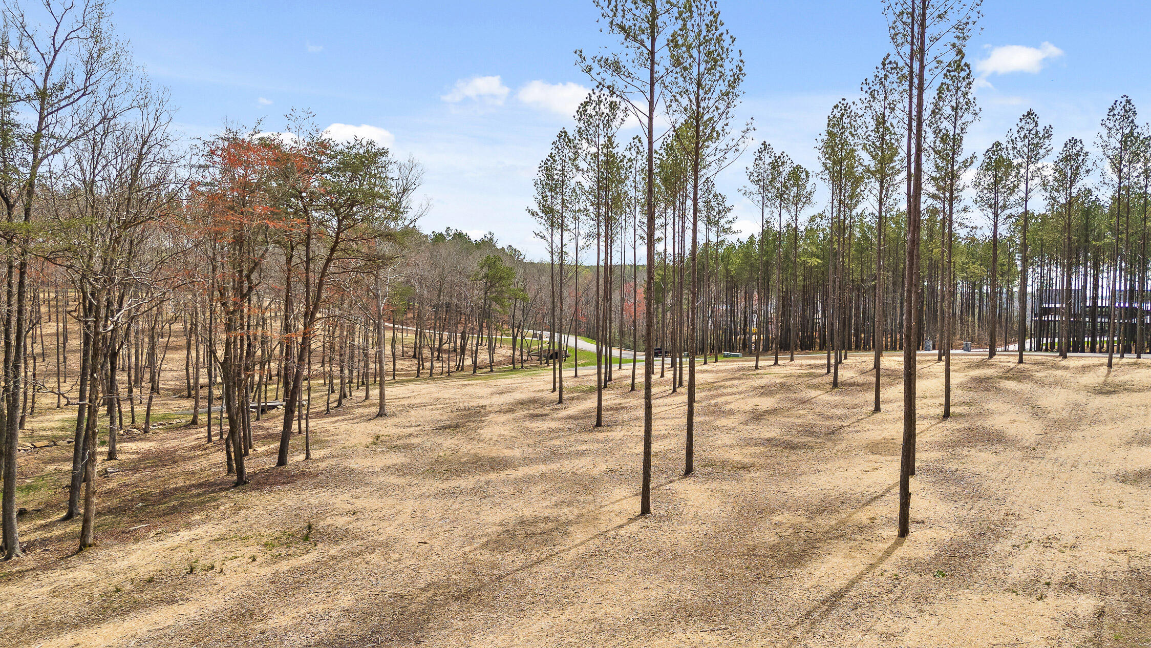 5420 Raulston Falls Road, Jasper, Tennessee image 7