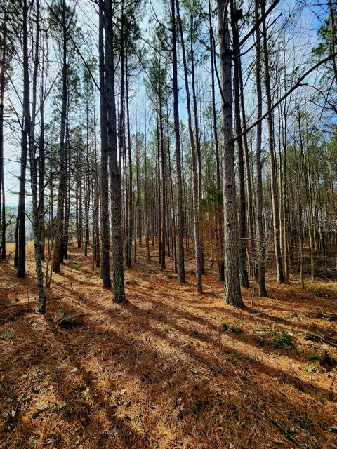 Tiny photo for 1560 Thunder Ridge Drive, South Pittsburg, TN 37380 (MLS # 1528542)