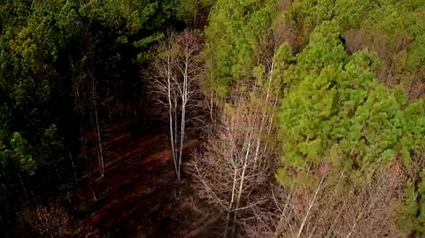 Tiny photo for 1560 Thunder Ridge Drive, South Pittsburg, TN 37380 (MLS # 1528542)