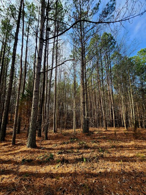 Tiny photo for 1560 Thunder Ridge Drive, South Pittsburg, TN 37380 (MLS # 1528542)