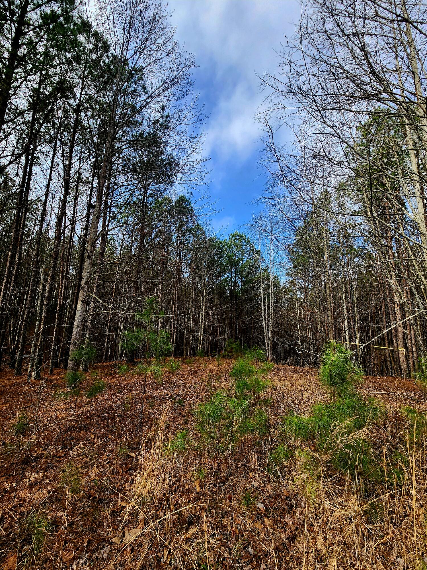 1560 Thunder Ridge Drive 48