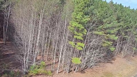 Tiny photo for 1560 Thunder Ridge Drive, South Pittsburg, TN 37380 (MLS # 1528542)