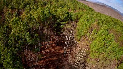 Tiny photo for 1560 Thunder Ridge Drive, South Pittsburg, TN 37380 (MLS # 1528542)