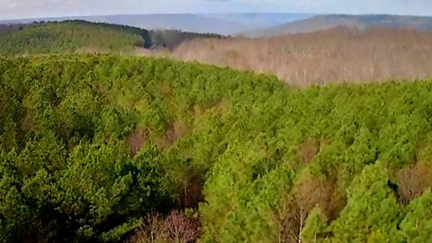 1560 Thunder Ridge Drive 48 South Pittsburg TN 37380