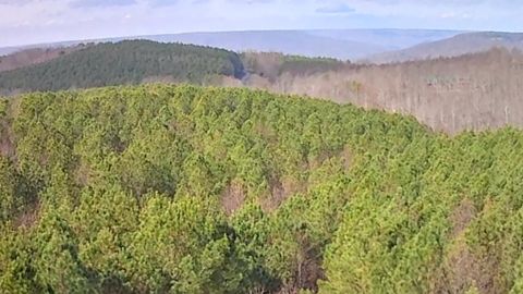 Tiny photo for 1560 Thunder Ridge Drive, South Pittsburg, TN 37380 (MLS # 1528542)