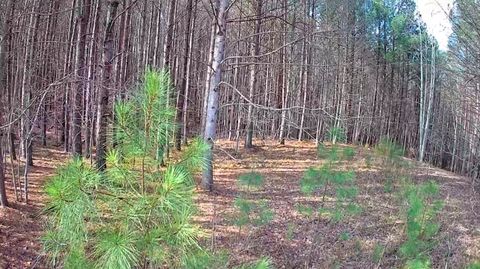 Tiny photo for 1560 Thunder Ridge Drive, South Pittsburg, TN 37380 (MLS # 1528542)