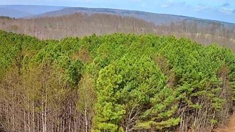 Tiny photo for 1560 Thunder Ridge Drive, South Pittsburg, TN 37380 (MLS # 1528542)