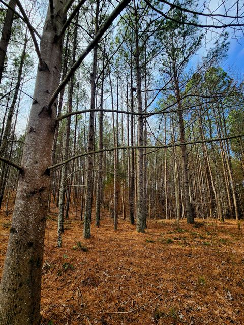 Tiny photo for 1560 Thunder Ridge Drive, South Pittsburg, TN 37380 (MLS # 1528542)