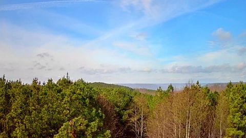 Tiny photo for 1560 Thunder Ridge Drive, South Pittsburg, TN 37380 (MLS # 1528542)