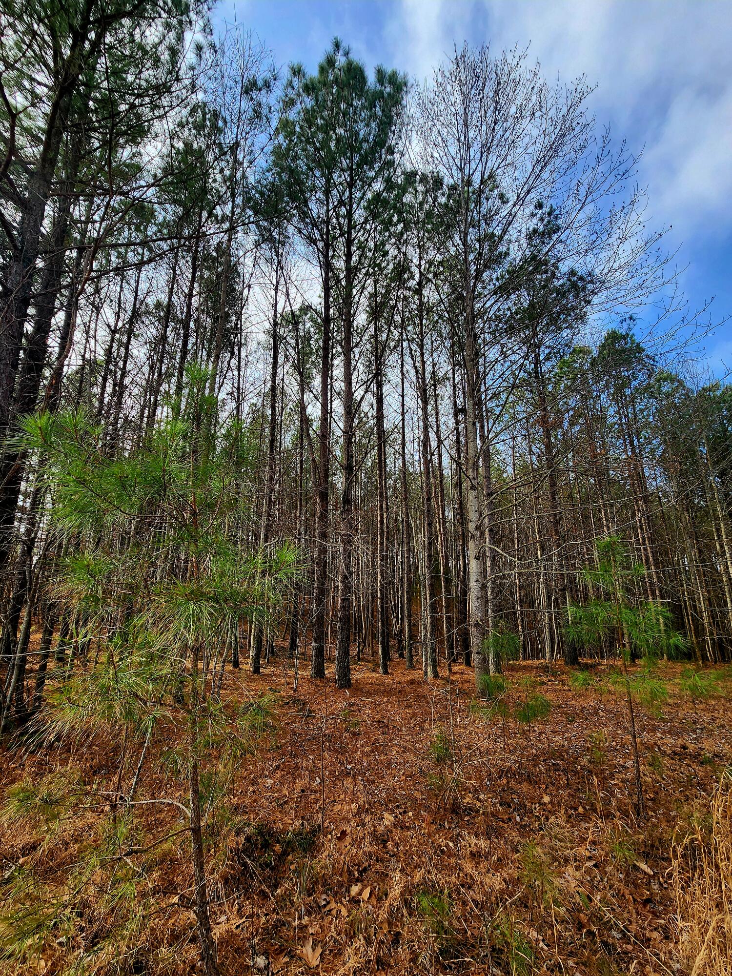 1560 Thunder Ridge Drive 48