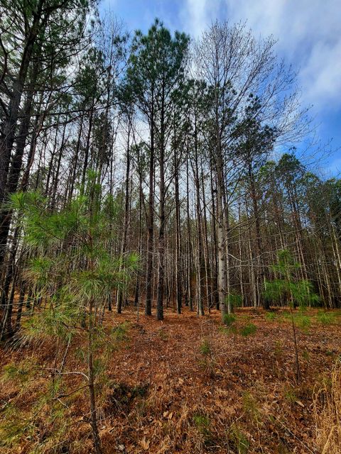 Tiny photo for 1560 Thunder Ridge Drive, South Pittsburg, TN 37380 (MLS # 1528542)