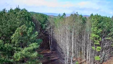 Tiny photo for 1560 Thunder Ridge Drive, South Pittsburg, TN 37380 (MLS # 1528542)