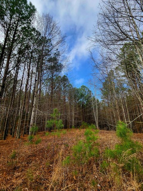 Tiny photo for 1560 Thunder Ridge Drive, South Pittsburg, TN 37380 (MLS # 1528542)