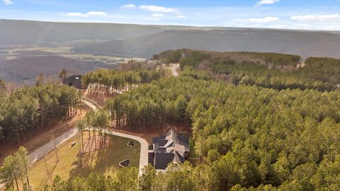 Tiny photo for 4190 Crockett Pointe, Jasper, TN 37347 (MLS # 1529384)