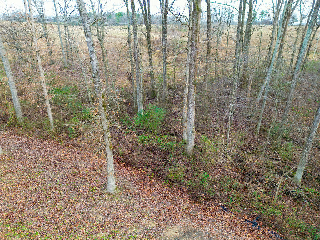 Flat Rock, Alabama 35966, United States, 3 Bedrooms Bedrooms, ,3 BathroomsBathrooms,Residential,Pending,250959