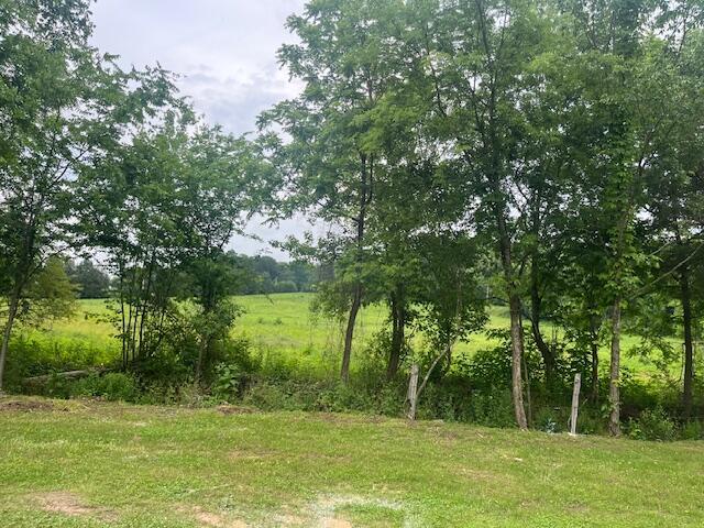 209 John Long Road, Spring City, Tennessee image 2