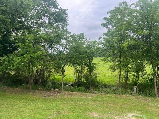 209 John Long Road, Spring City, Tennessee image 5