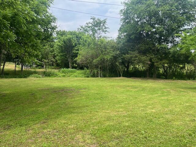 209 John Long Road, Spring City, Tennessee image 4